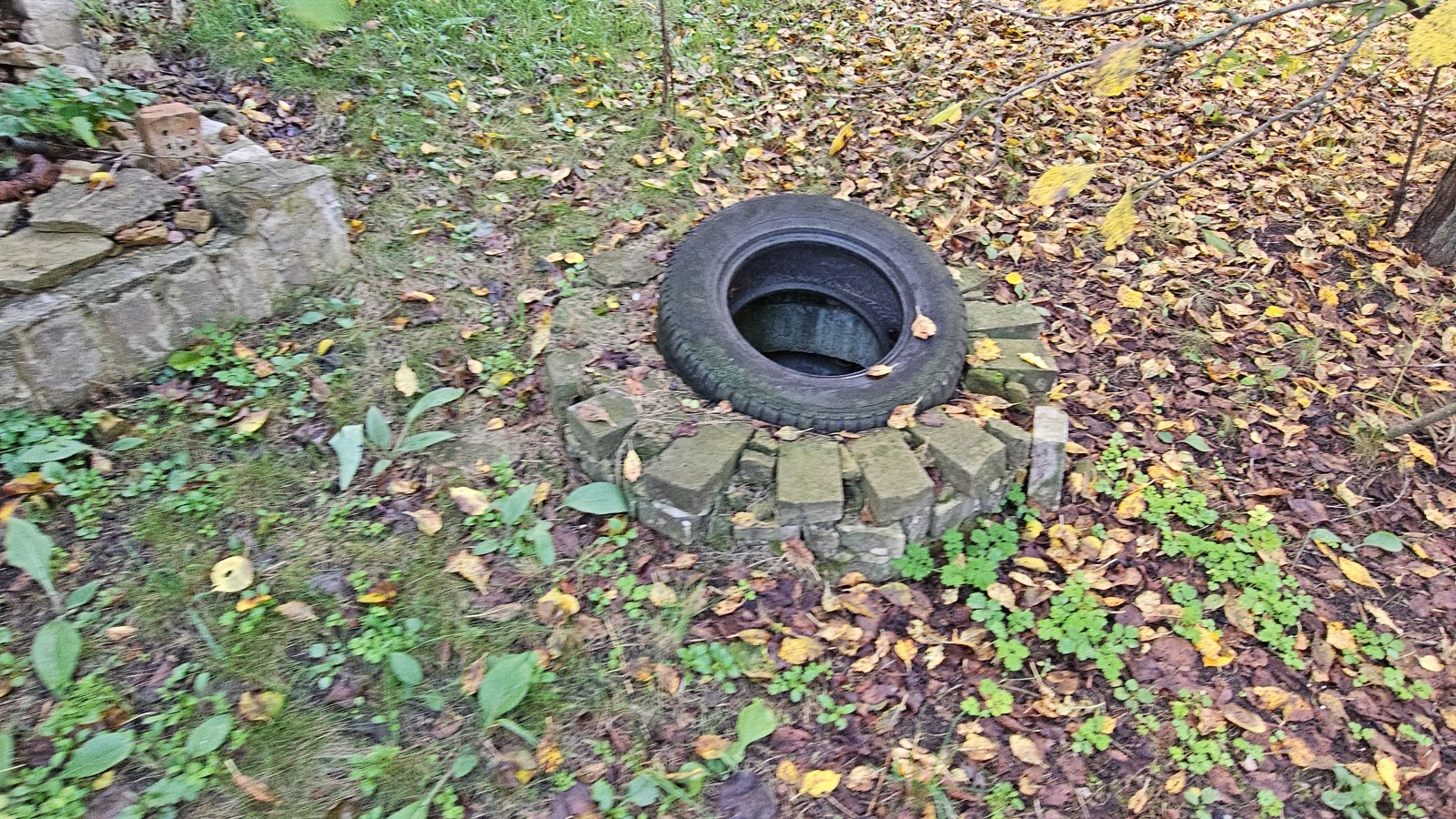 DJI_20251012_094837_10832