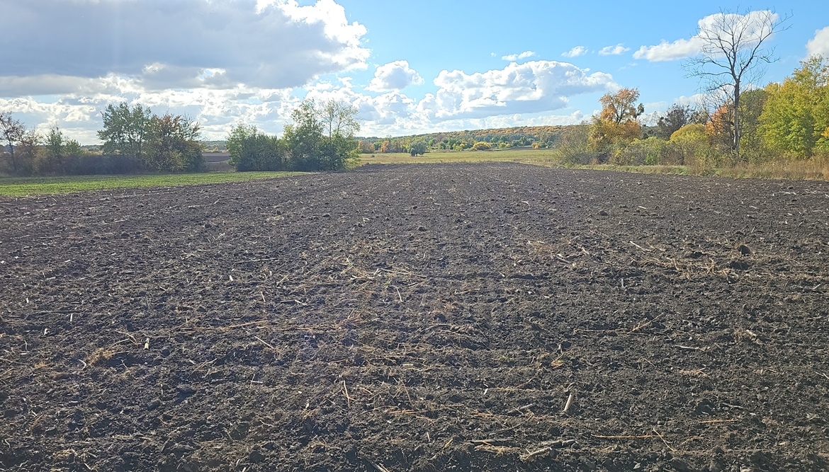 DJI_20251012_125105_10908