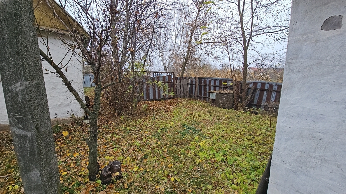 DJI_20251109_135335_11202