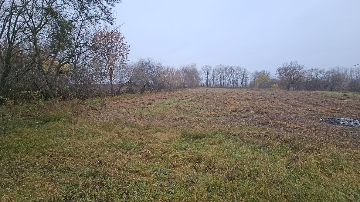 DJI_20251109_135437_11208