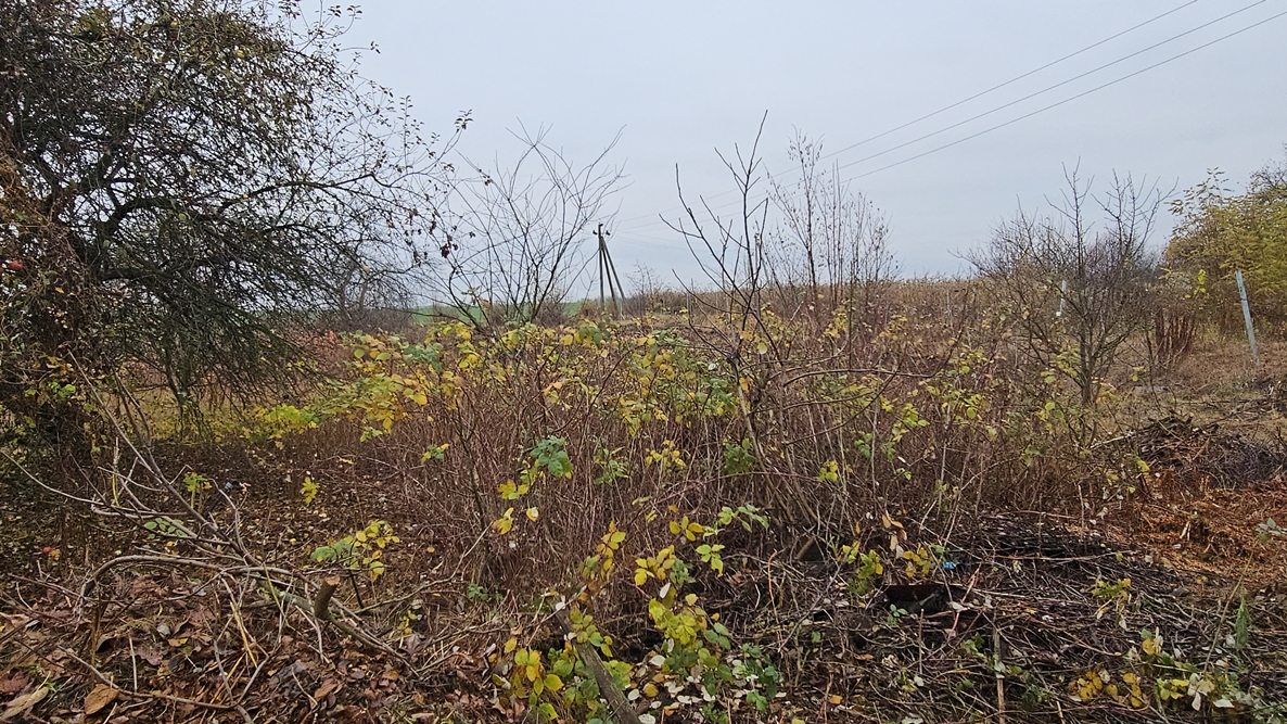 DJI_20251110_103511_11269