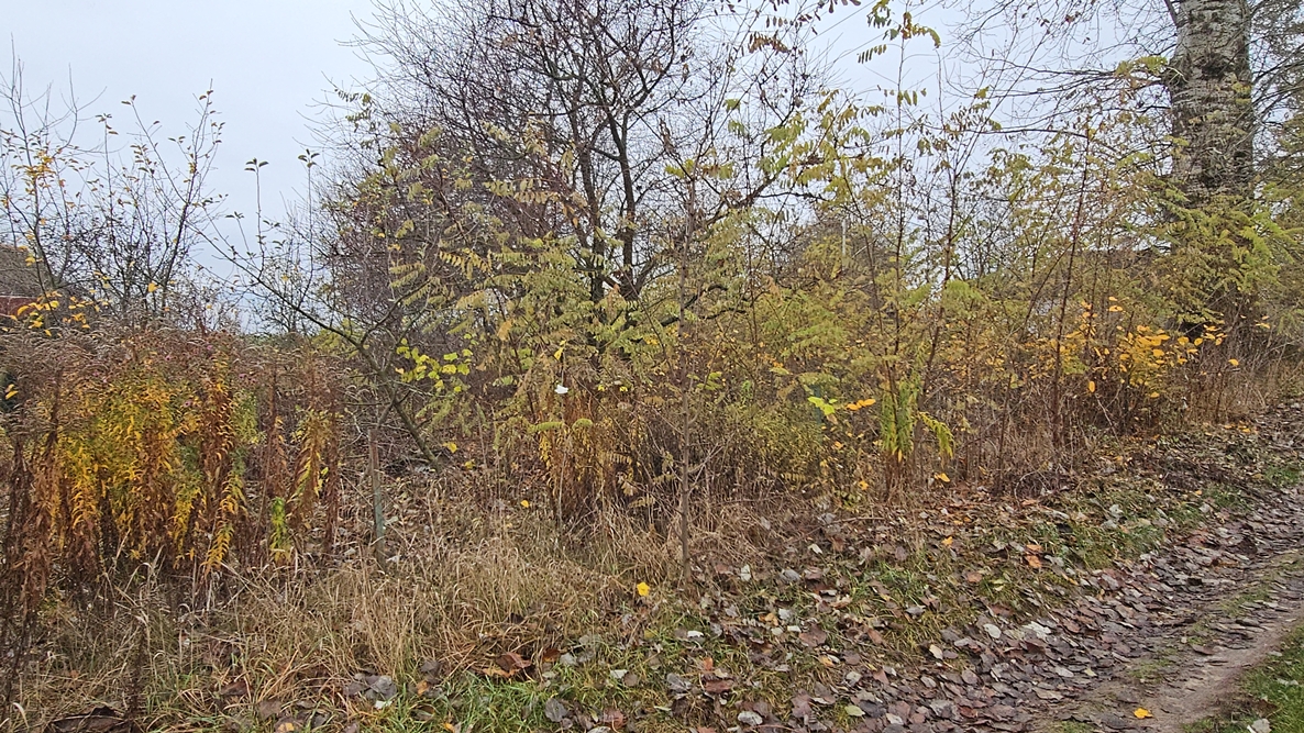 DJI_20251110_104036_11291