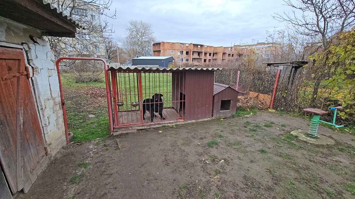 DJI_20251112_143916_11369