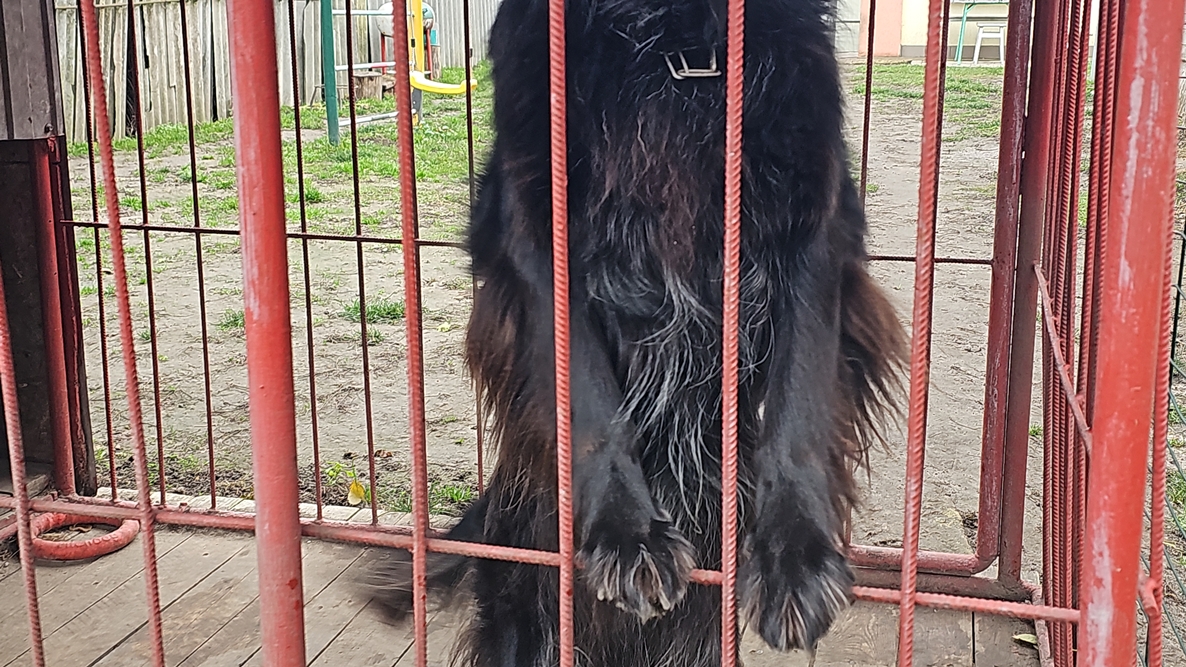 DJI_20251112_144036_11372