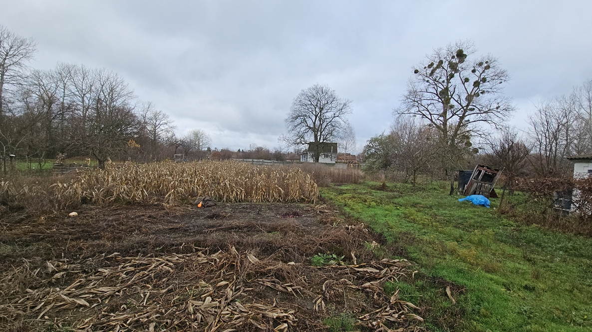 DJI_20251113_110230_11428