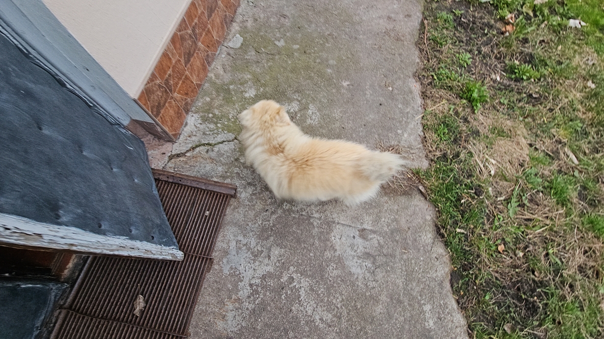 DJI_20251118_144937_11528