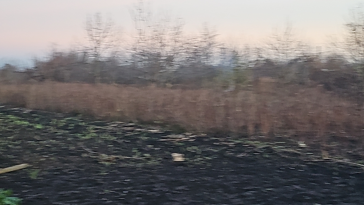 DJI_20251119_160953_11566