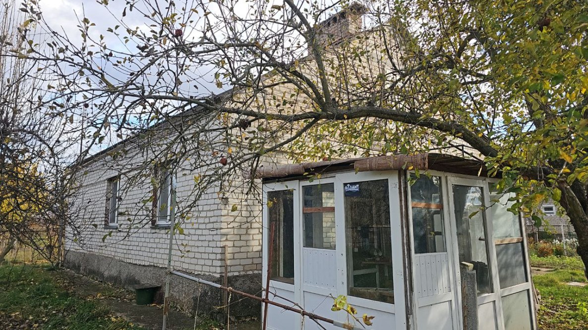 photo_2025-11-03_13-03-39