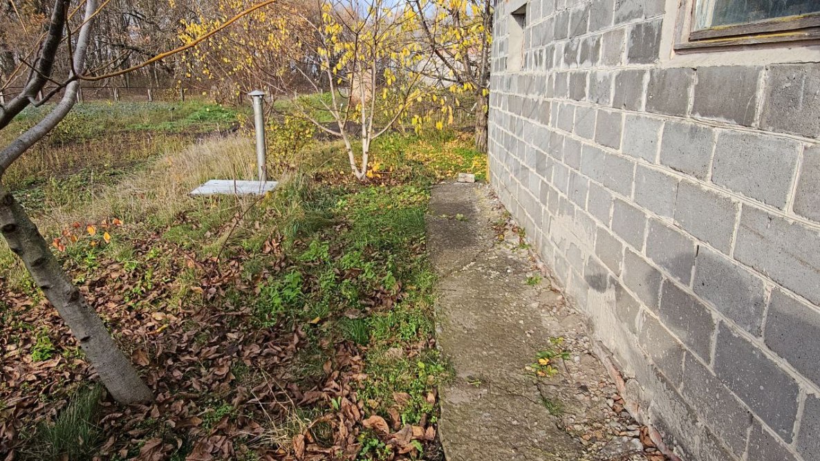 photo_2025-11-03_13-04-37