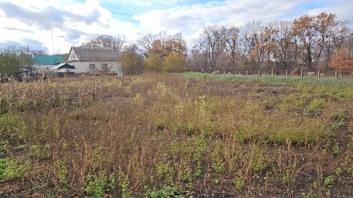 photo_2025-11-03_13-04-45