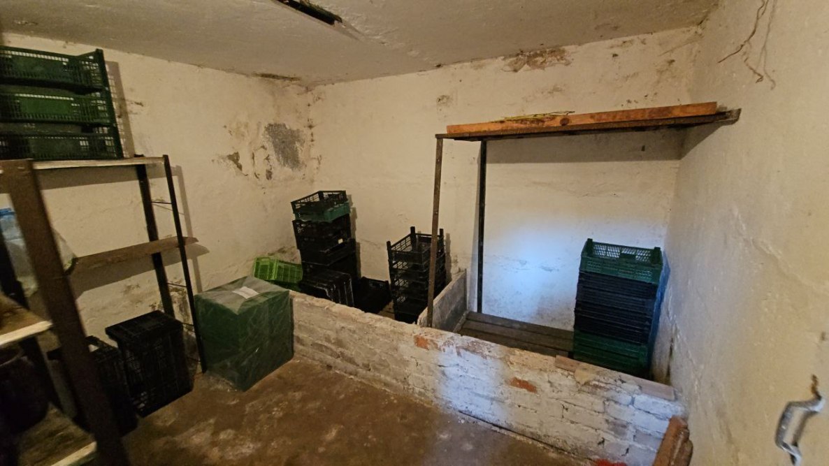 photo_2025-11-03_13-04-56