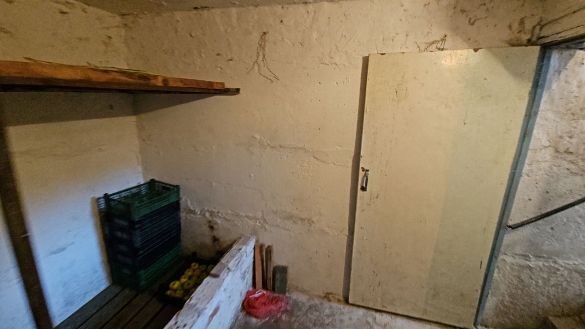 photo_2025-11-03_13-05-05