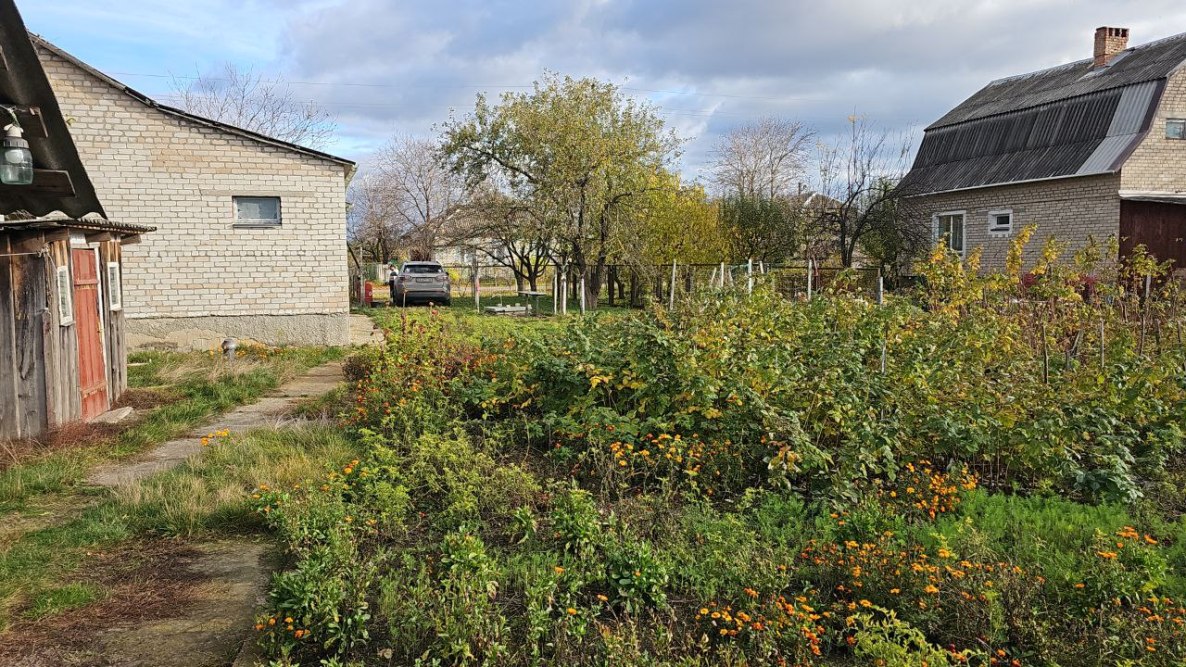 photo_2025-11-03_13-05-24