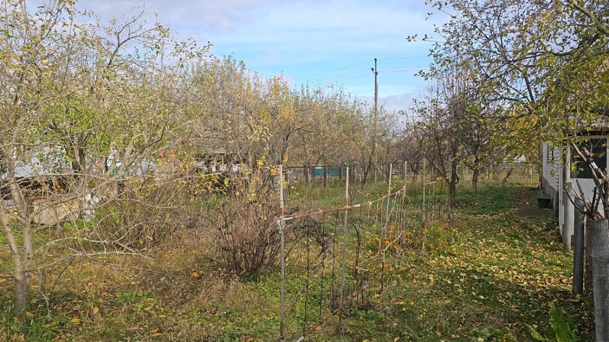 photo_2025-11-03_13-05-27