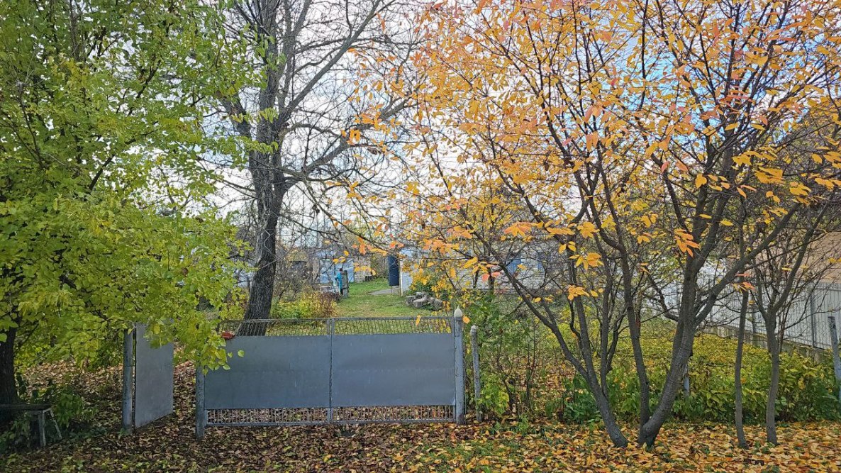 photo_2025-11-03_13-09-07