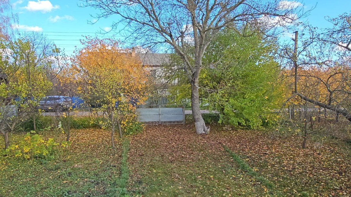 photo_2025-11-03_13-09-10