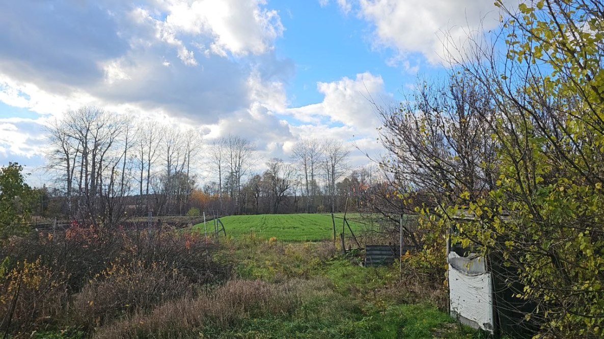 photo_2025-11-03_13-10-14