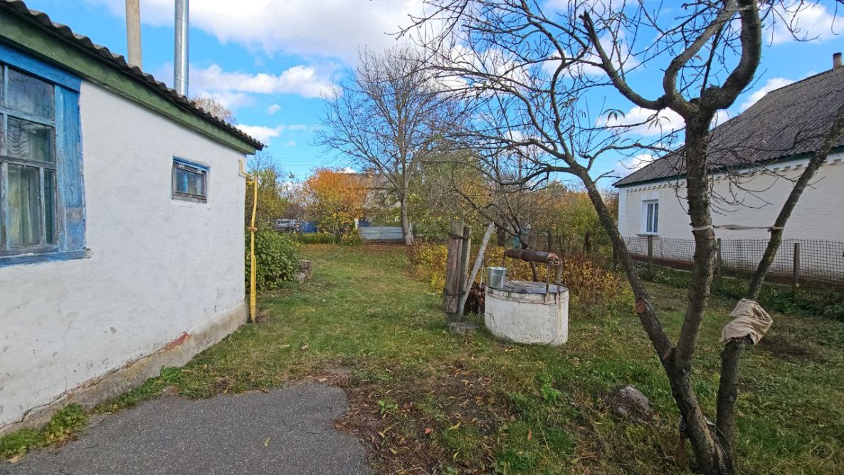 photo_2025-11-03_13-10-17