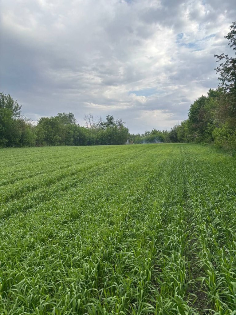 photo_2025-11-26_13-16-51