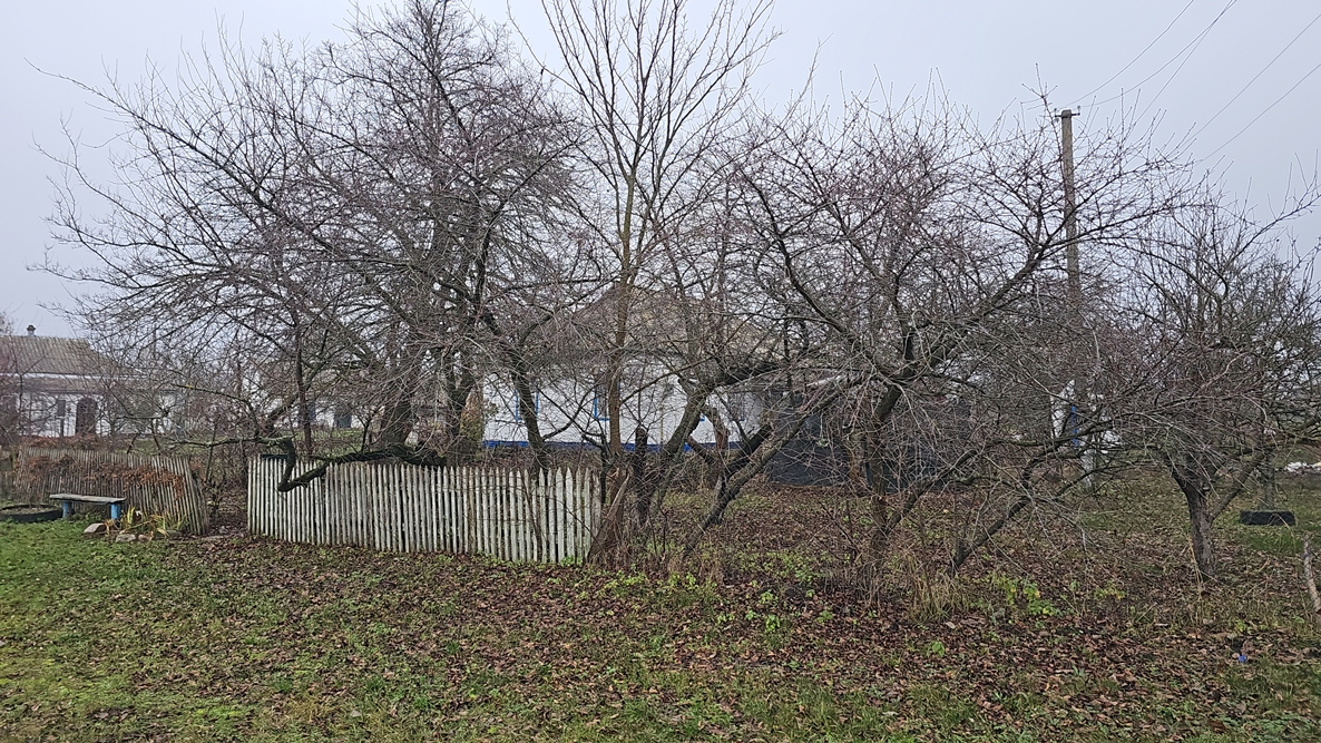 DJI_20251126_132658_11645